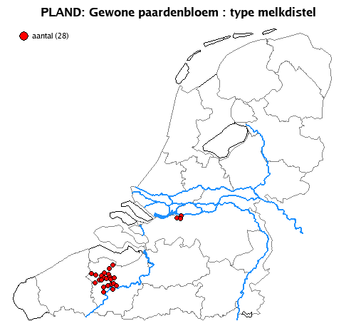 melkdistel